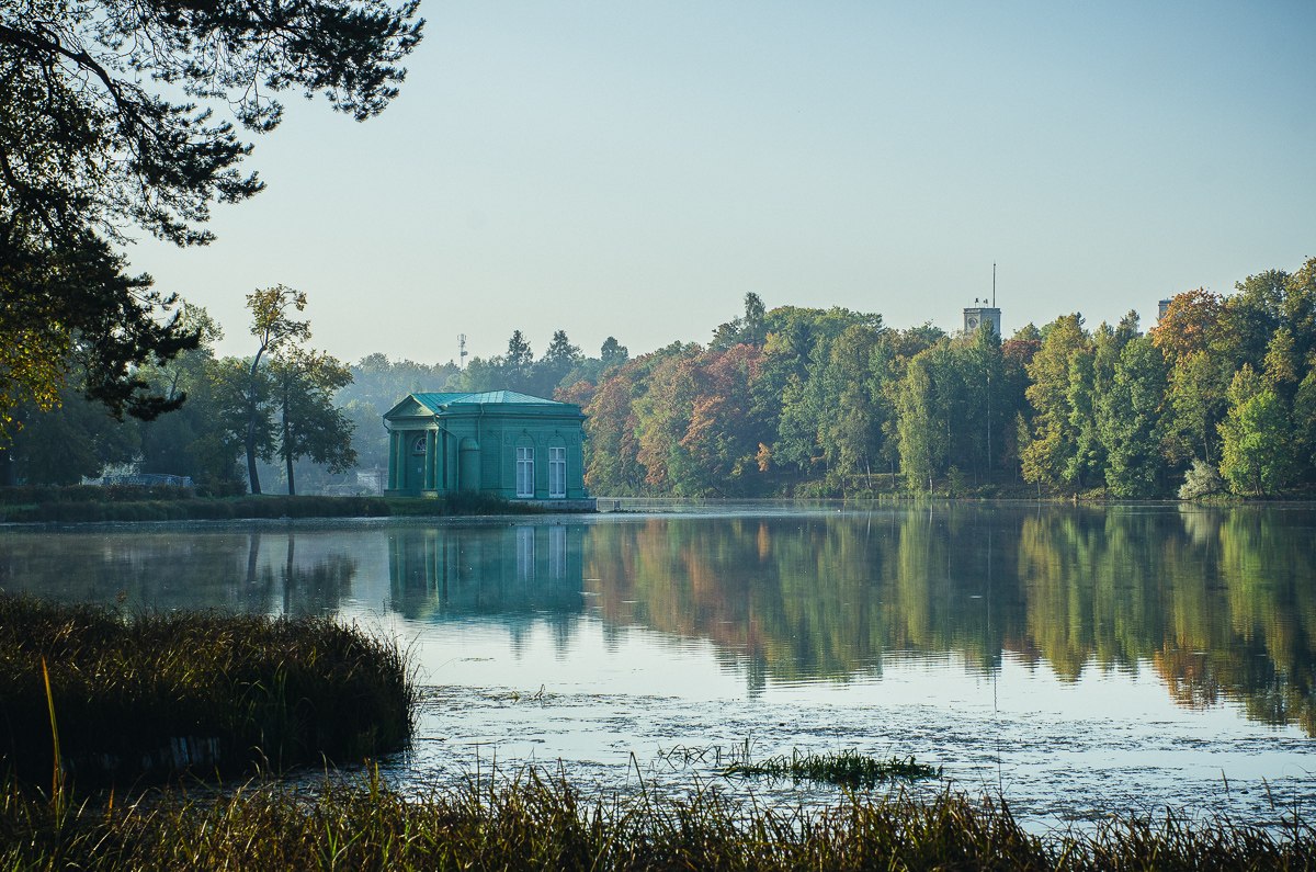 Озера в Гатчинском парке ждет экологическая реабилитация