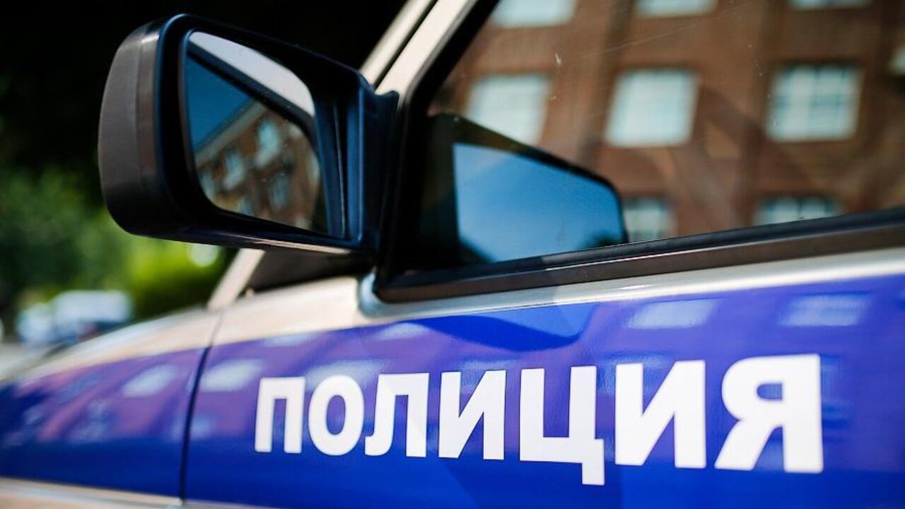 Полиция задержала подозреваемого в поджоге в Гатчинском районе