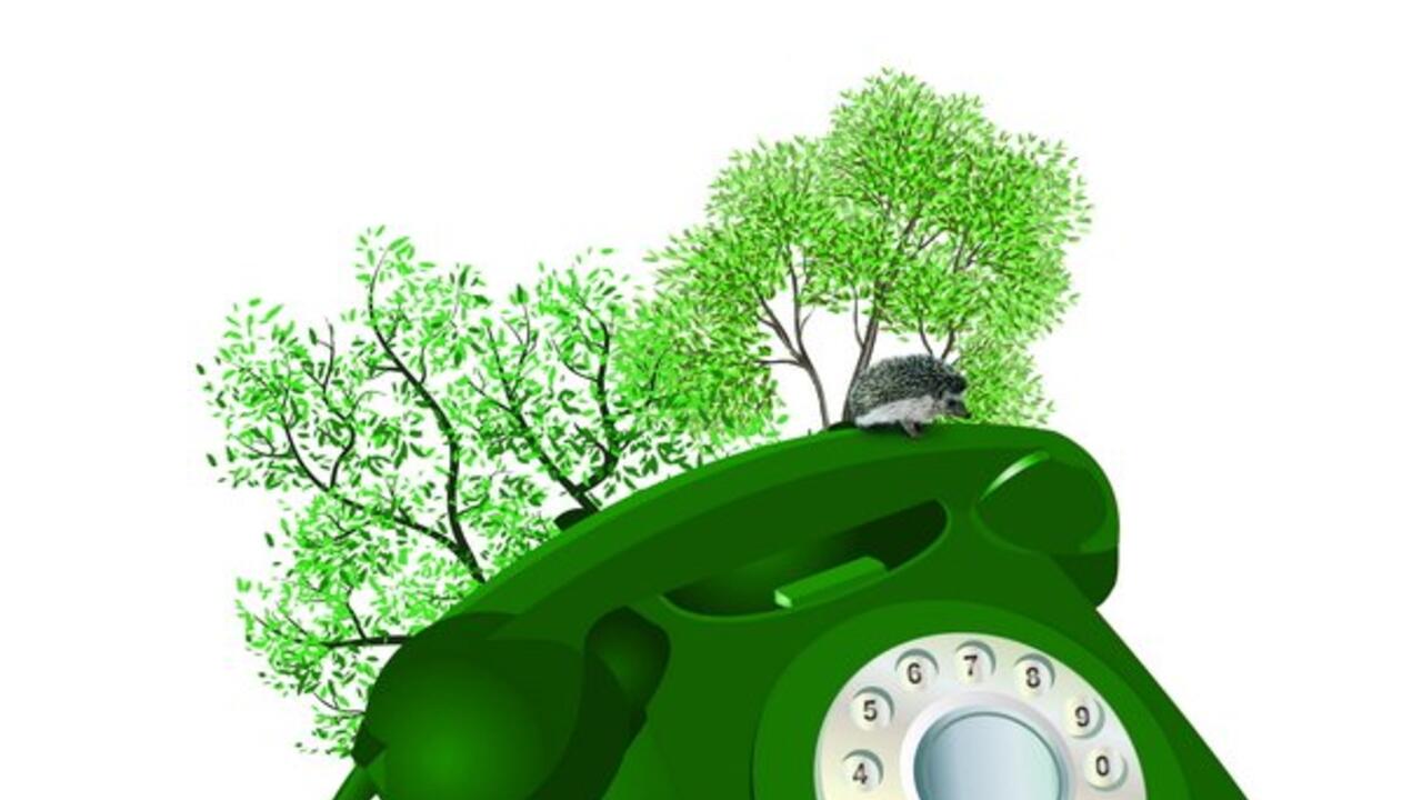 В Ленинградской области работает телефон «Зелёной линии»