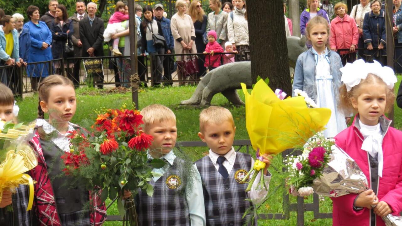 В топе популярности — все десять школ города Гатчины