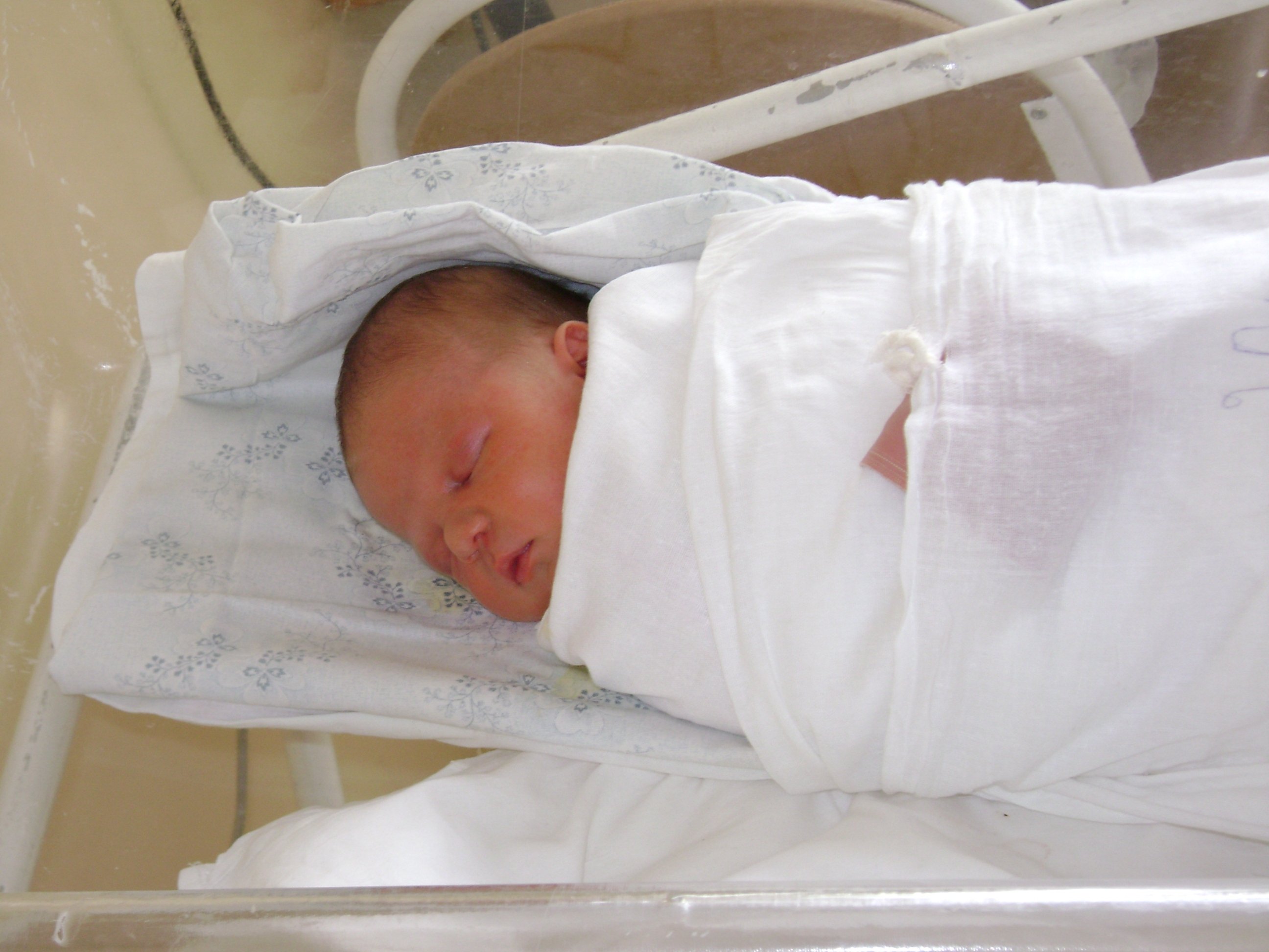 Можно ли получить свидетельство о рождении ребенка в мфц всеволожского района