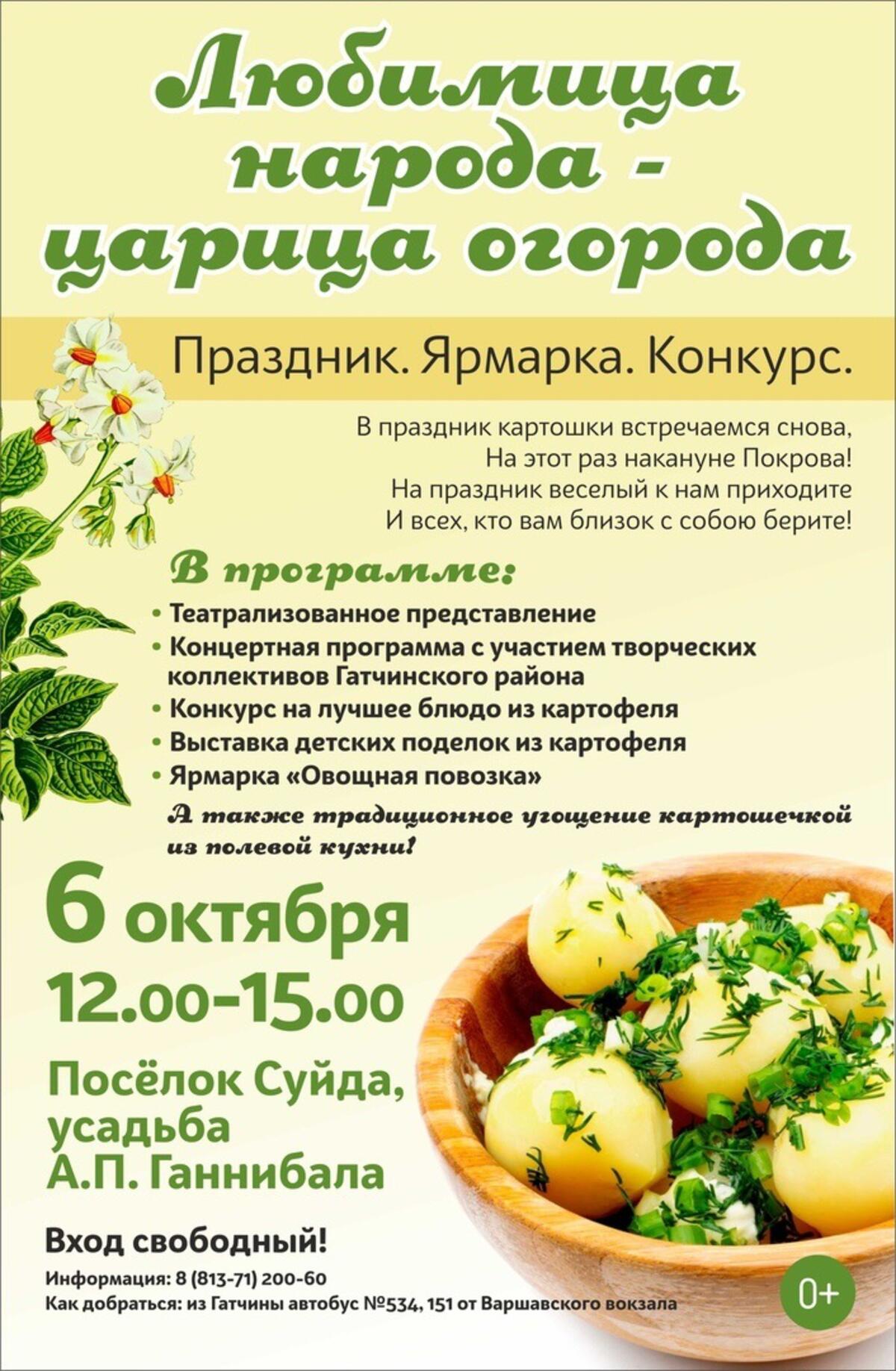 Картофельный конкурс в Суйде: сытно, вкусно и красиво - Гатчинская правда