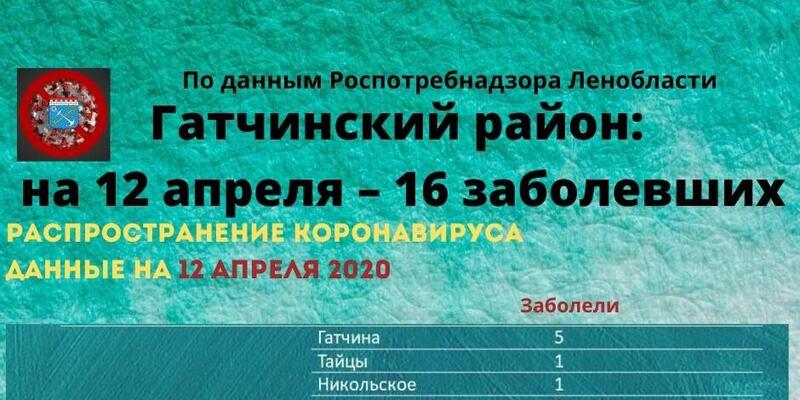 Гатчинский район: на 12 апреля - ещё один заболевший