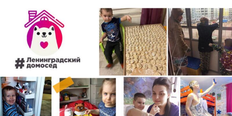 Выбираем лучшего из «ленинградских домоседов»