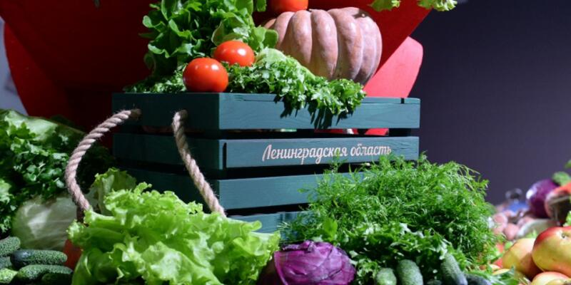 В садоводствах области начнут выездную торговлю