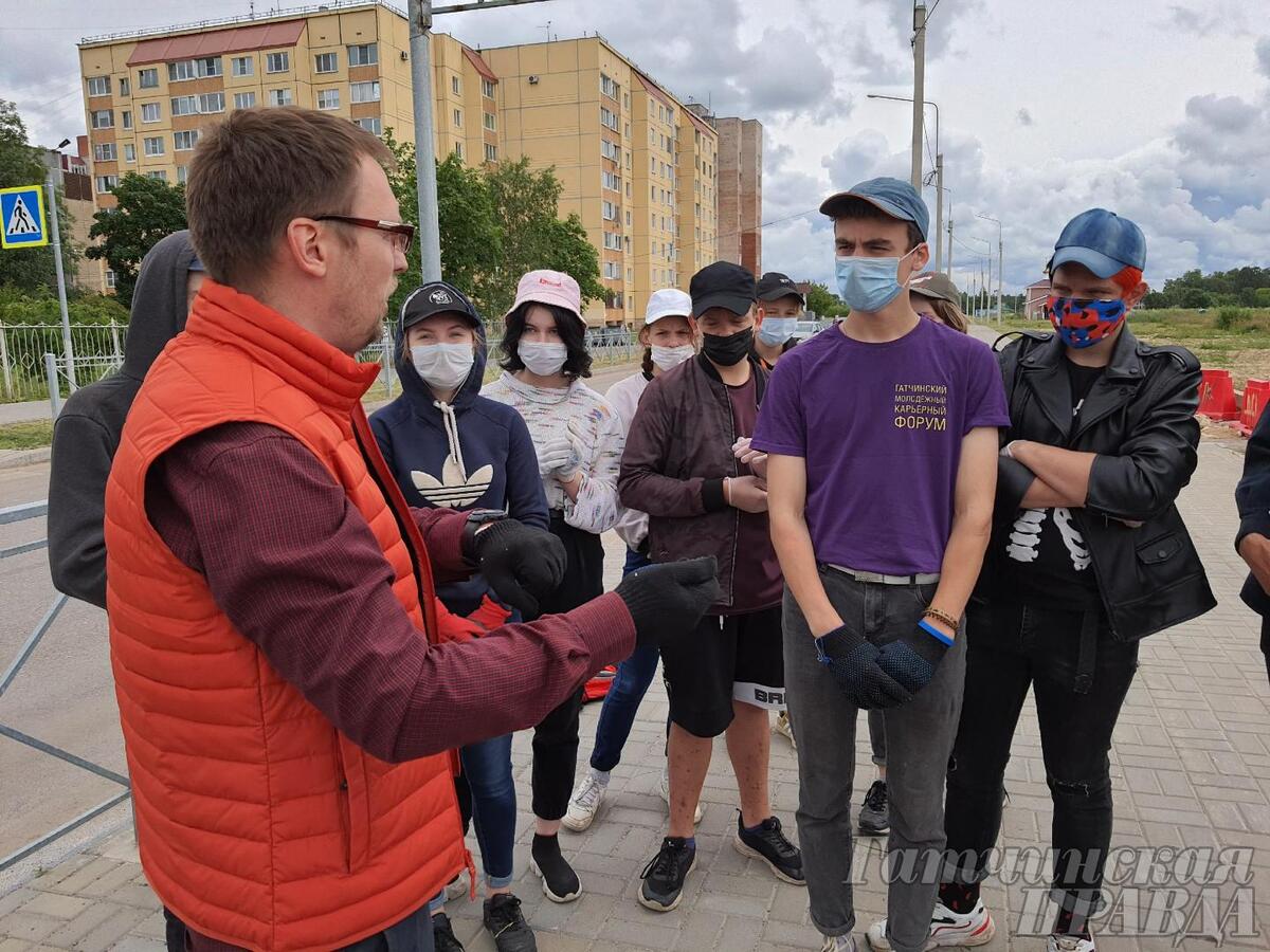 В День семьи, любви и верности в Гатчине посадили сирень - Гатчинская правда