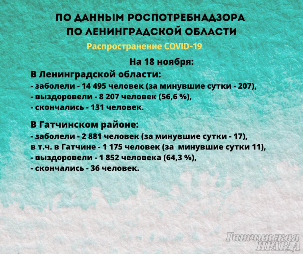 Где в Гатчинском районе выявили новых covid-пациентов - Гатчинская правда