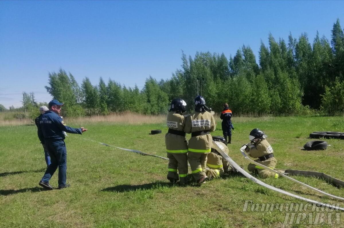 Школа безопасности