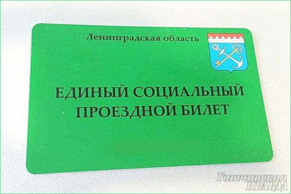 Оплата ленинградская область. Социальный проездной для инвалидов. Проездной для пенсионеров карточка. Льготный проездной билет для пенсионеров. Социальный проездной для пенсионеров.