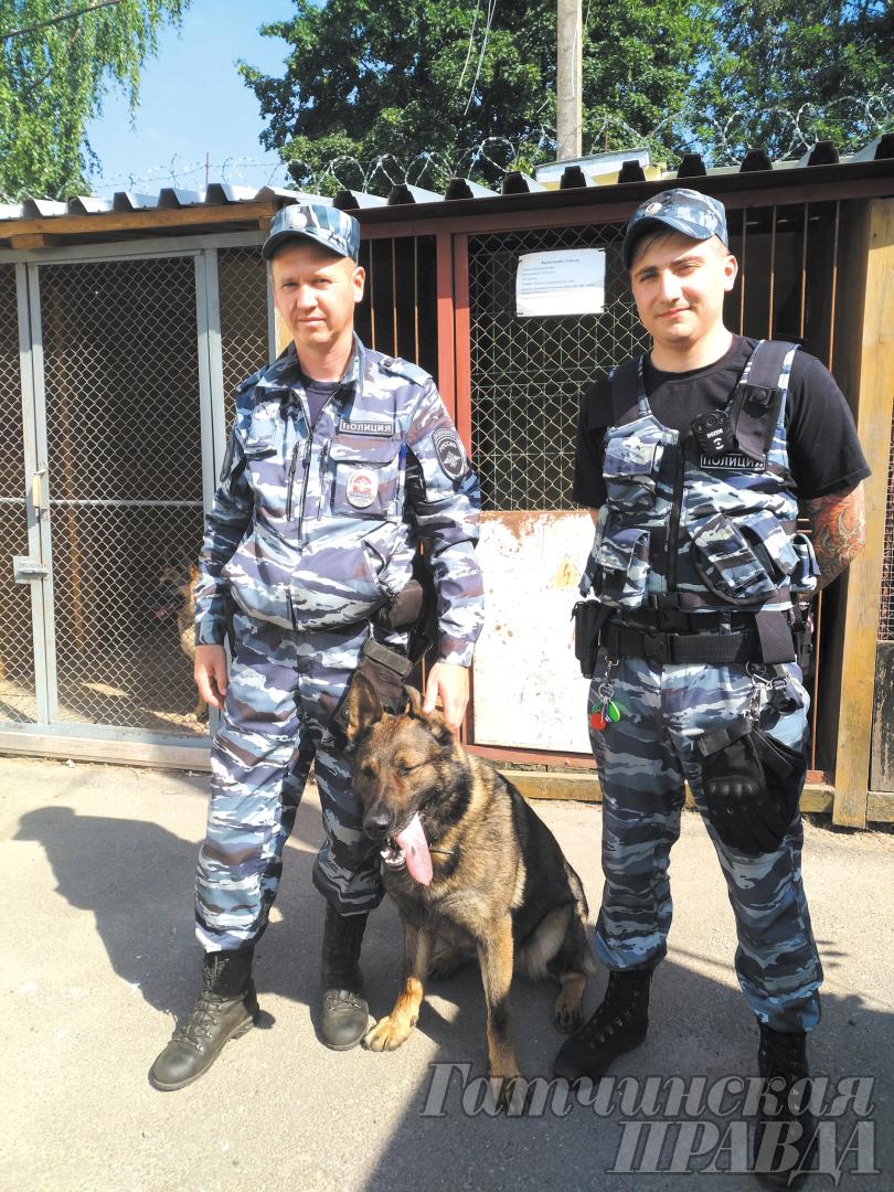 Собака в помощь гатчинским полицейским