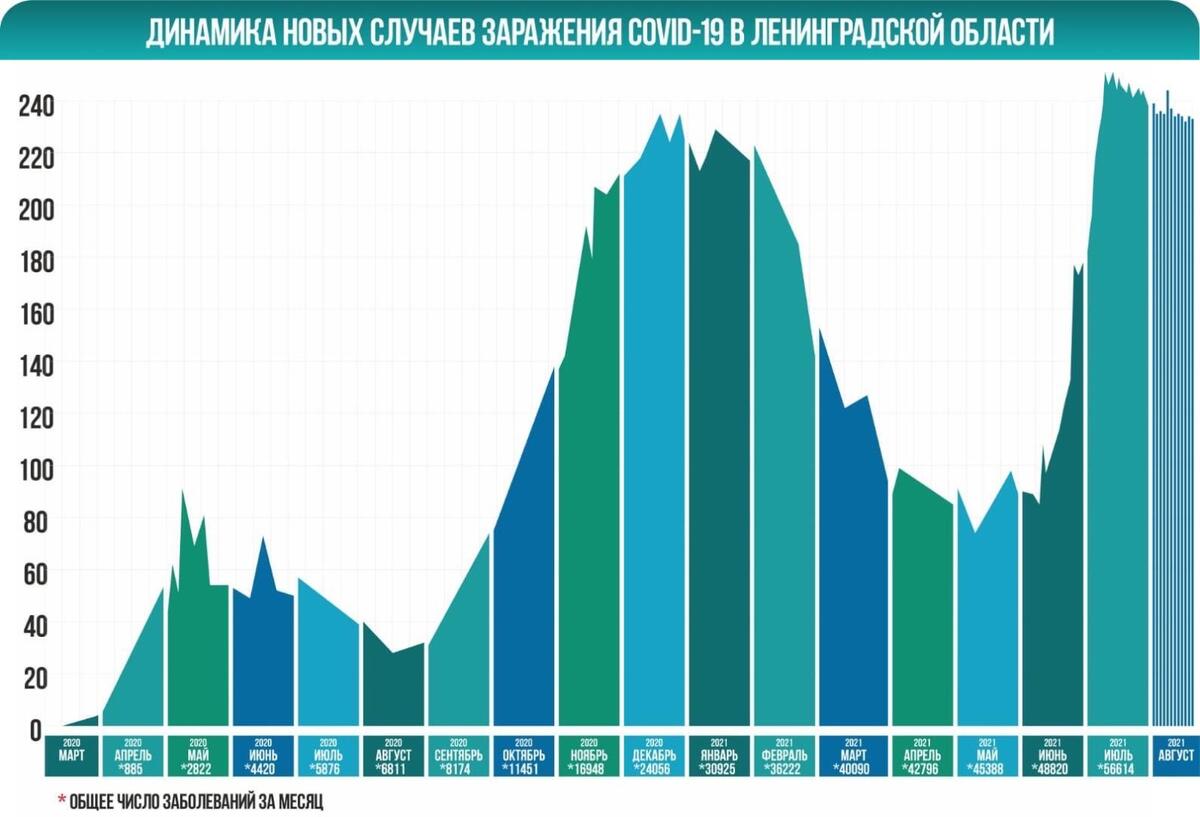 В Гатчине и районе – 23 новых заболевших COVID-19 - Гатчинская правда