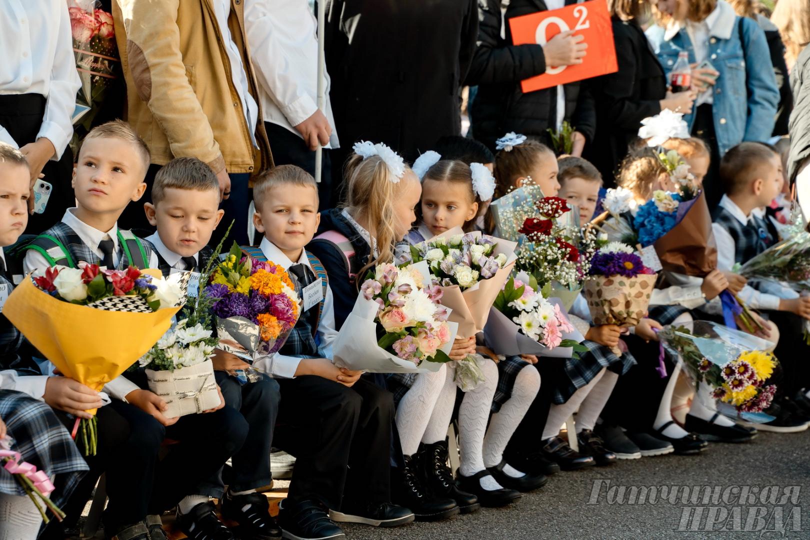 1 сентября 2024 года будет линейка. 8 Школа Гатчина. Первая школа Гатчина. Восьмая школа в Гатчине. День знаний в Нидерландах.