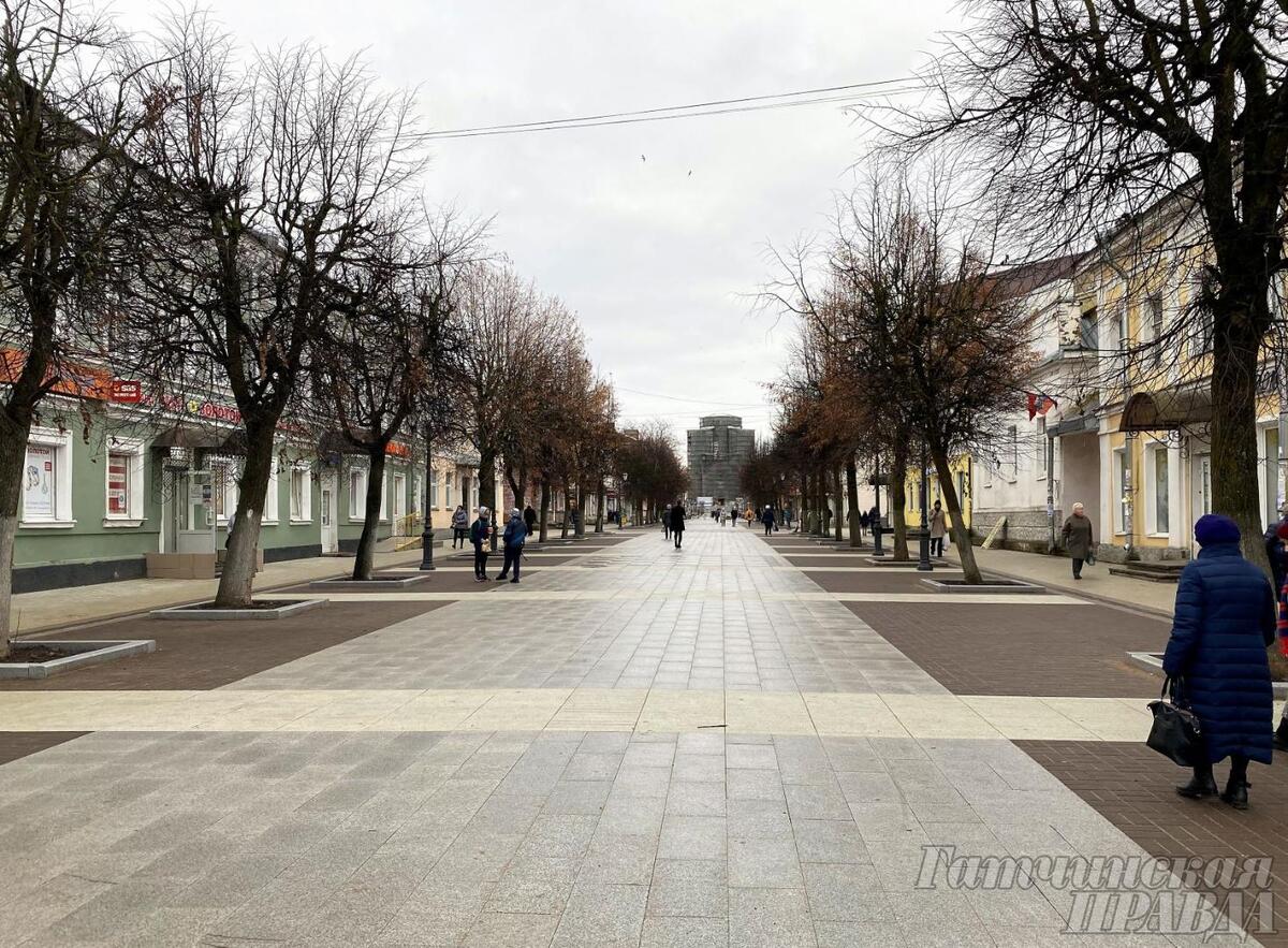 Фото в гатчине на соборной