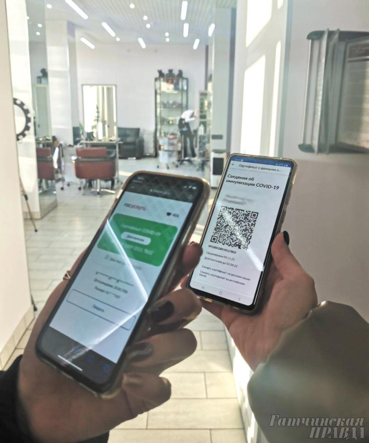 Привыкаем жить с QR-кодом - Гатчинская правда