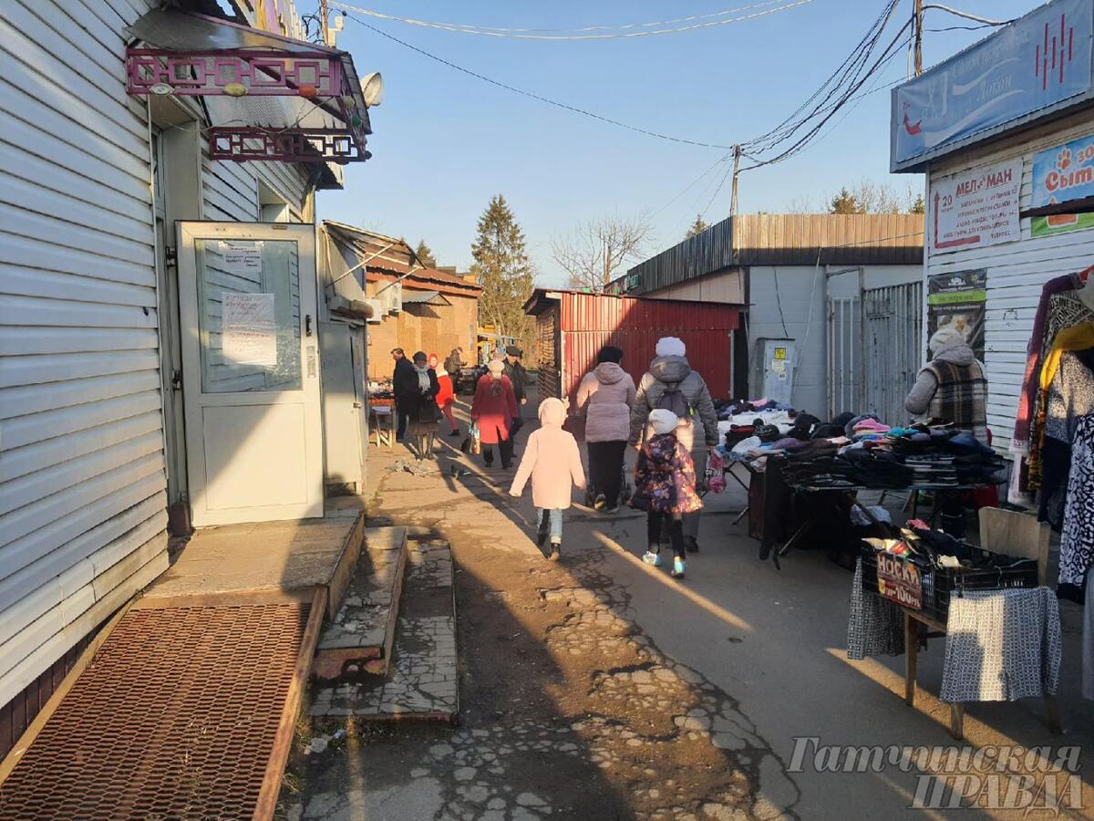 Рынок на Аэродроме в Гатчине перестроят - Гатчинская правда