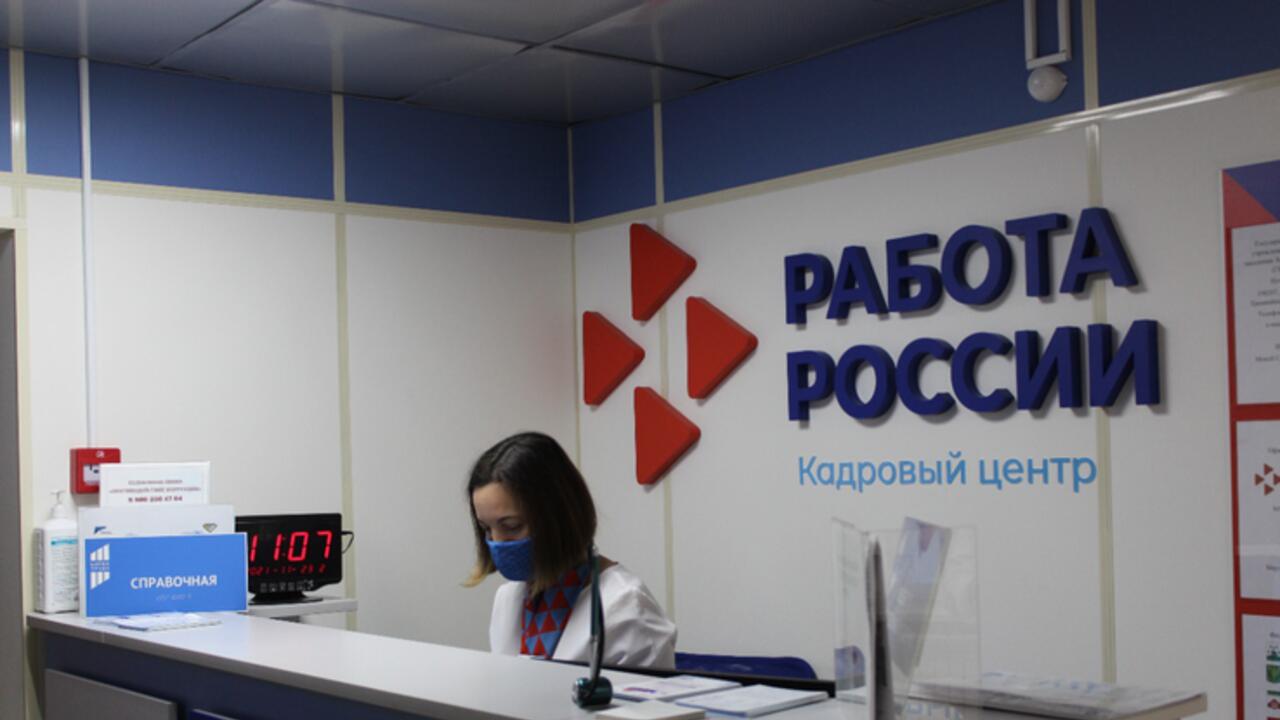 Цзн тихвин. Цзн тихвин. Гку цзн ло. Служба занятости. Центр занятости населения гатчина.