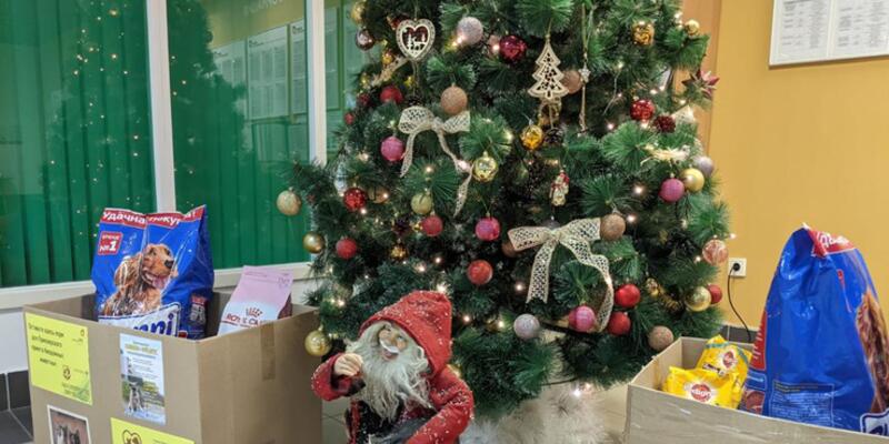Ювента Новогодние Подарки Ювента Новогодние Подарки