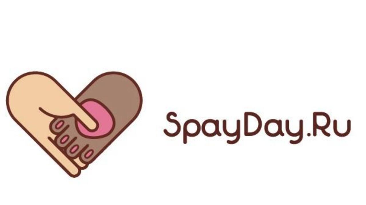 SpayDay – День стерилизации за 50%