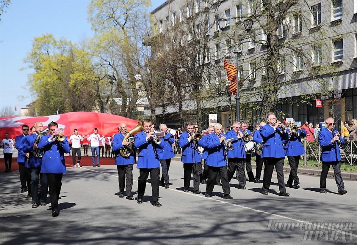 Цитадель знамя первого полка прохождение