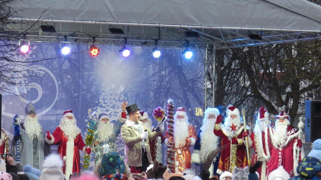 В Гатчине стартовали новогодние праздничные гуляния