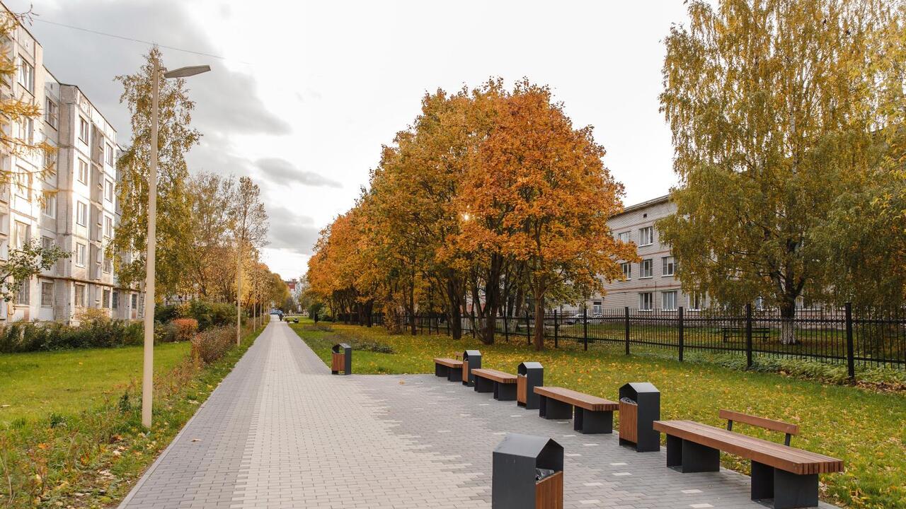 Рейтинговое голосование по выбору территорий для благоустройства пройдет в Ленинградской области в режиме онлайн