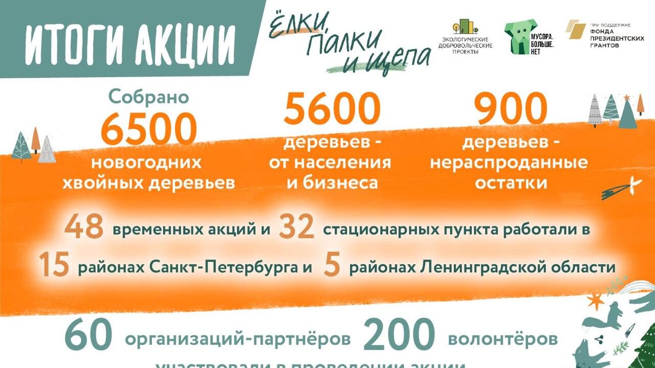 6500 новогодних хвойных деревьев собрано в рамках акции «Ёлки, палки и щепа» в Санкт-Петербурге и Ленинградской области