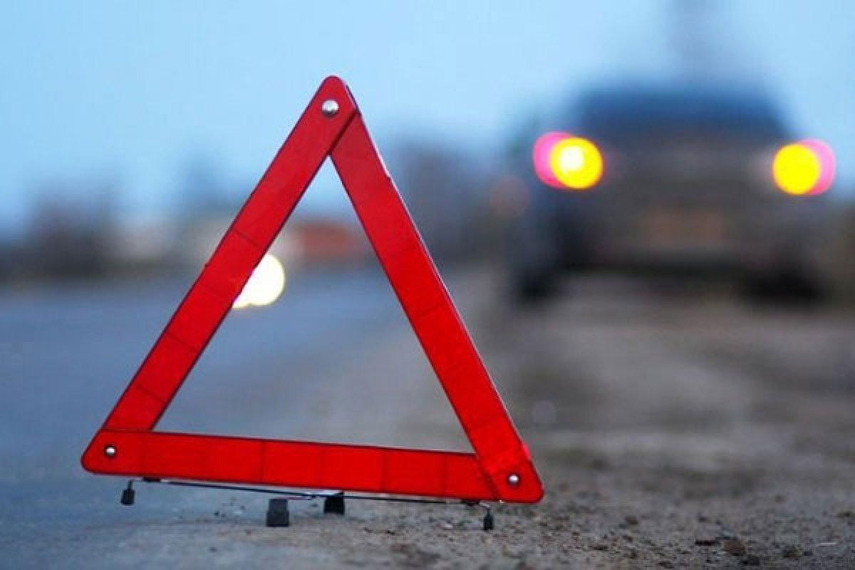 Полиция возбудила уголовное дело по факту смертельного ДТП на автодороге «Гатчина - Ополье»