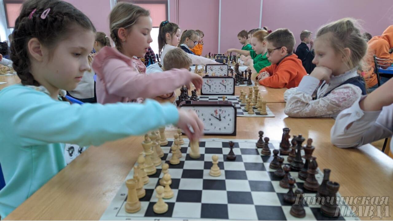 «Серебро» шахматистов Гатчинского лицея № 3