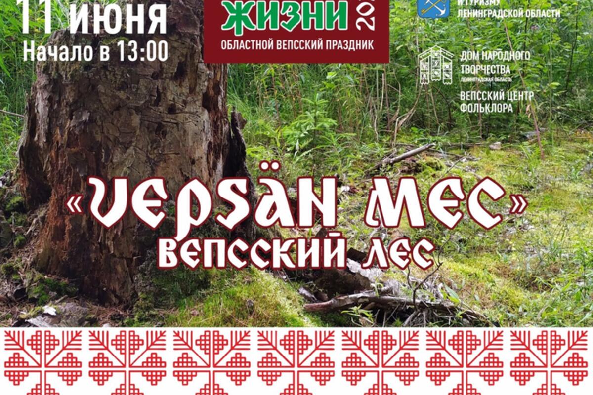 Область приглашает познакомиться с культурой вепсов - Гатчинская правда