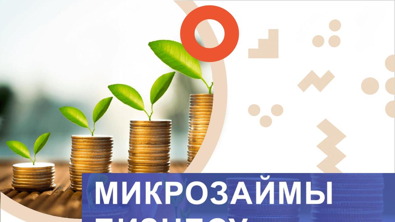Государственные микрозаймы: ставка остаётся не более 5%