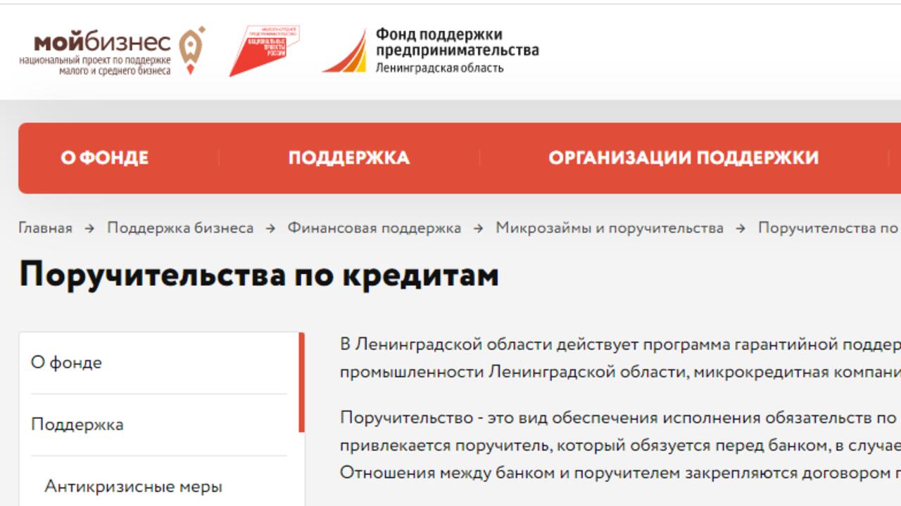 Поручительства государства – опора для малого бизнеса