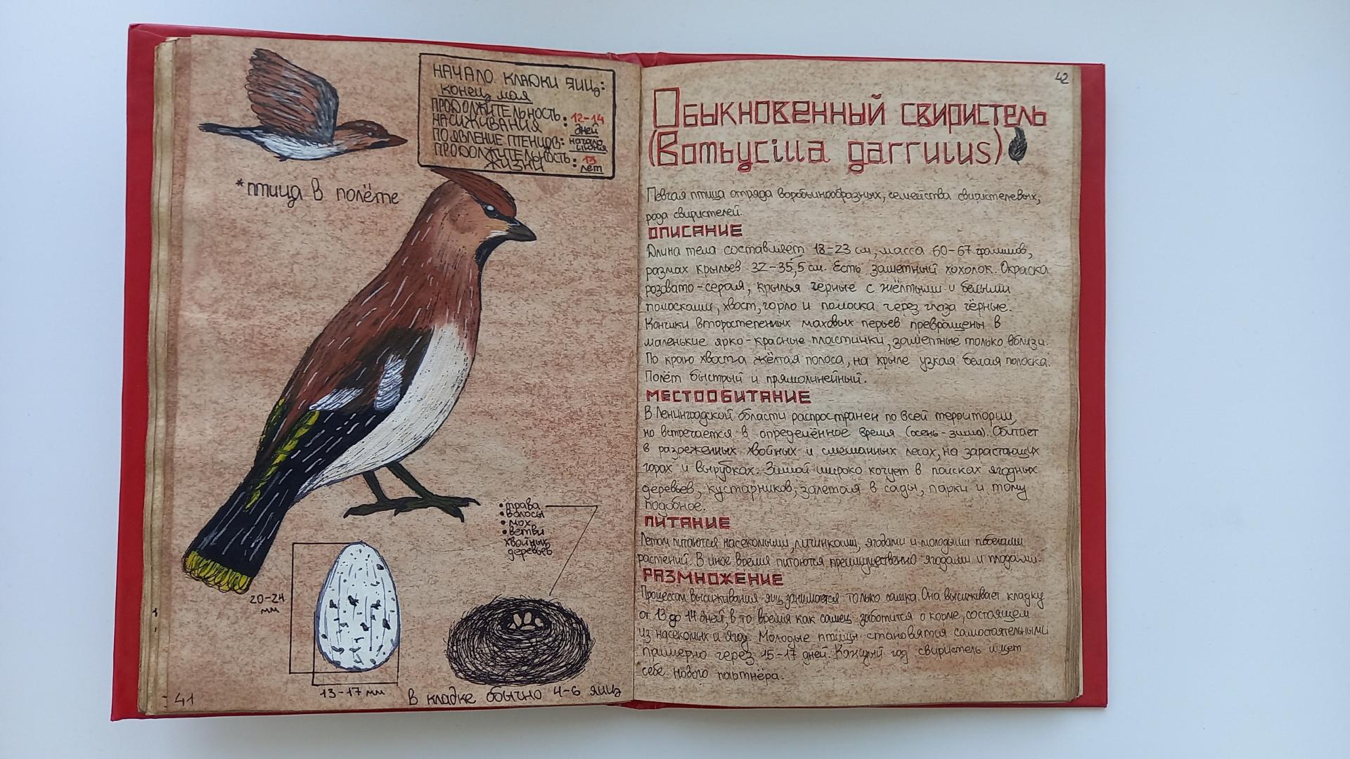 Птицы, цветы и книги Самира Магеррамова - Гатчинская правда