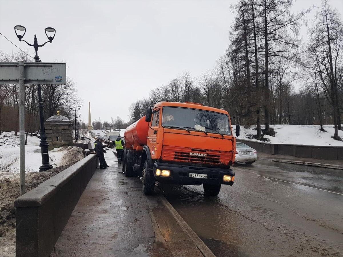 Жителям Ленинградской области обещают первый снег уже 7-9 октября -  Новости. Гатчина - Гатчинская правда