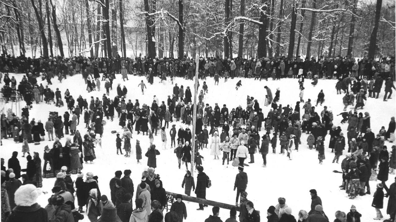 Зимние забавы в Гатчинском парке