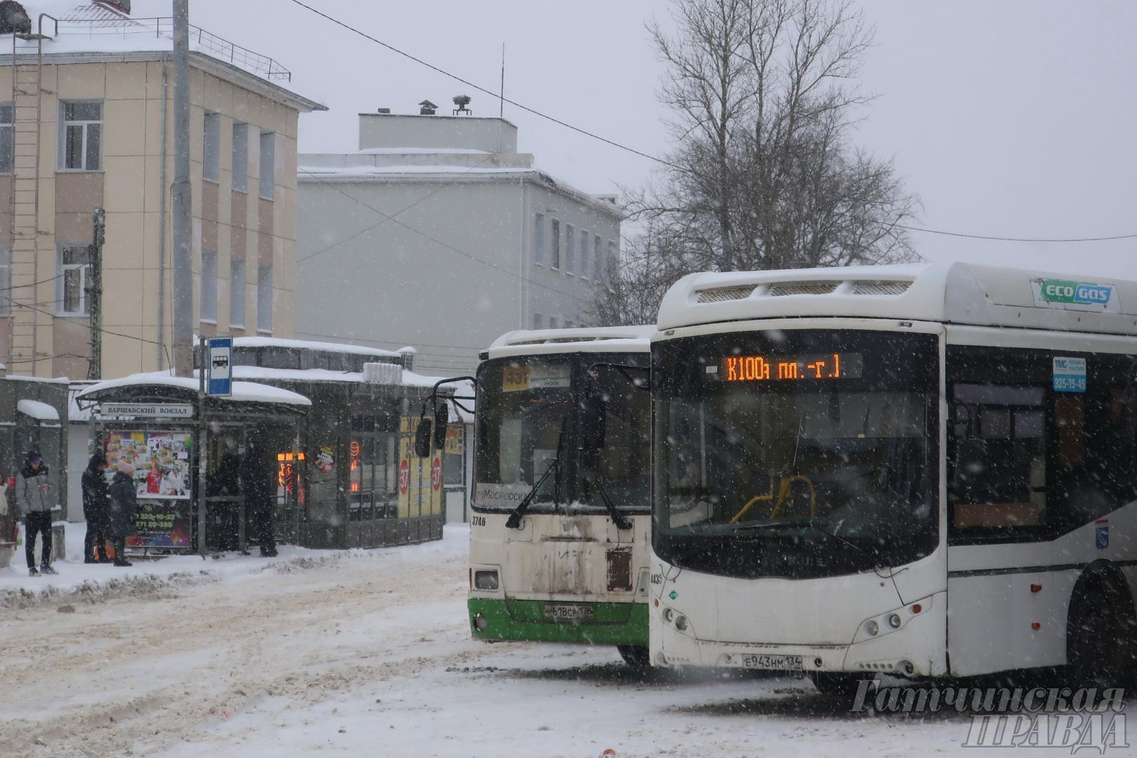 расписание 45 автобуса новые дома елизаветино (70) фото