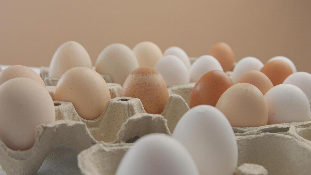 Роковые яйца