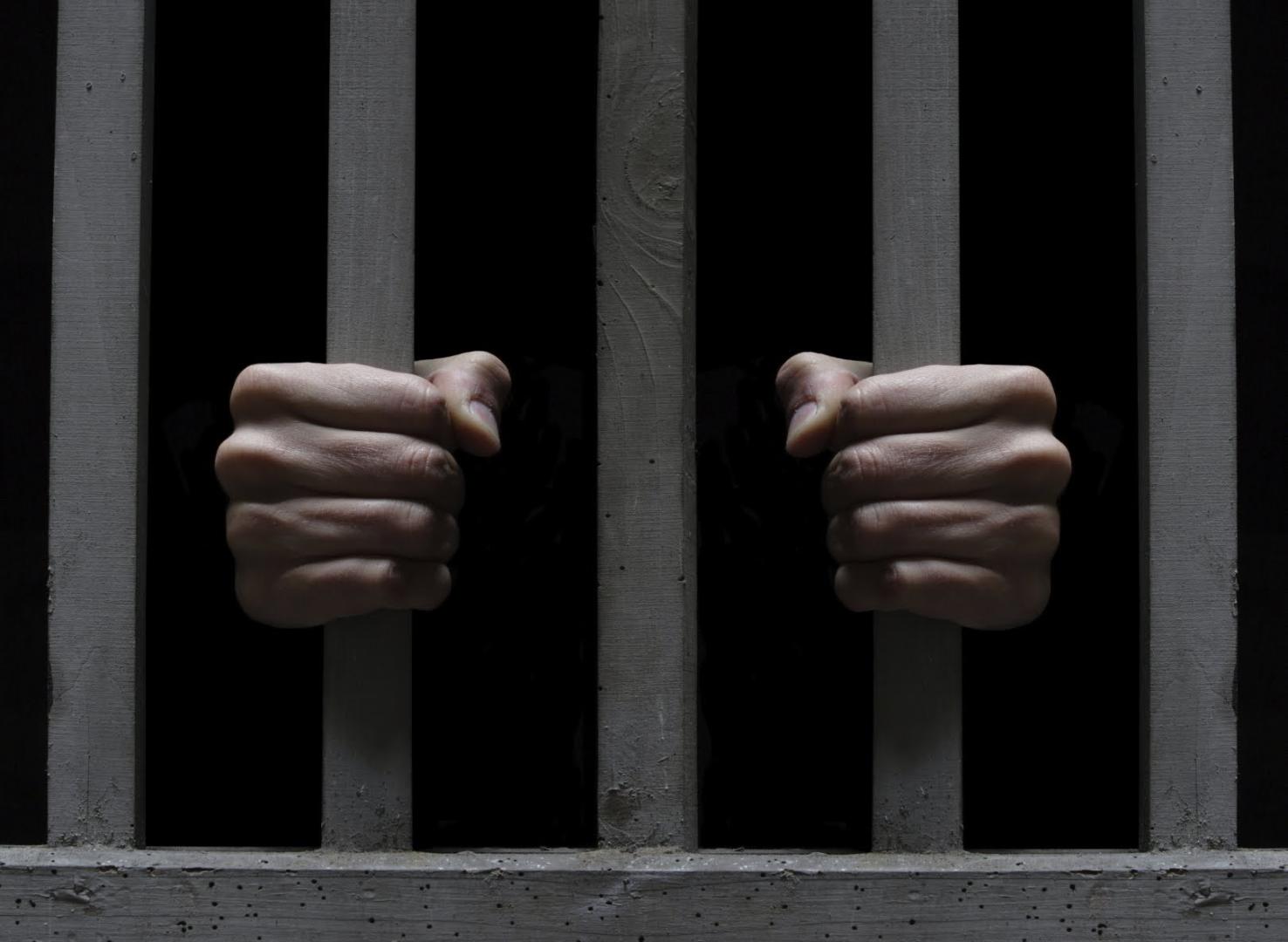 Иностранные грабители предстанут перед судом в Гатчине