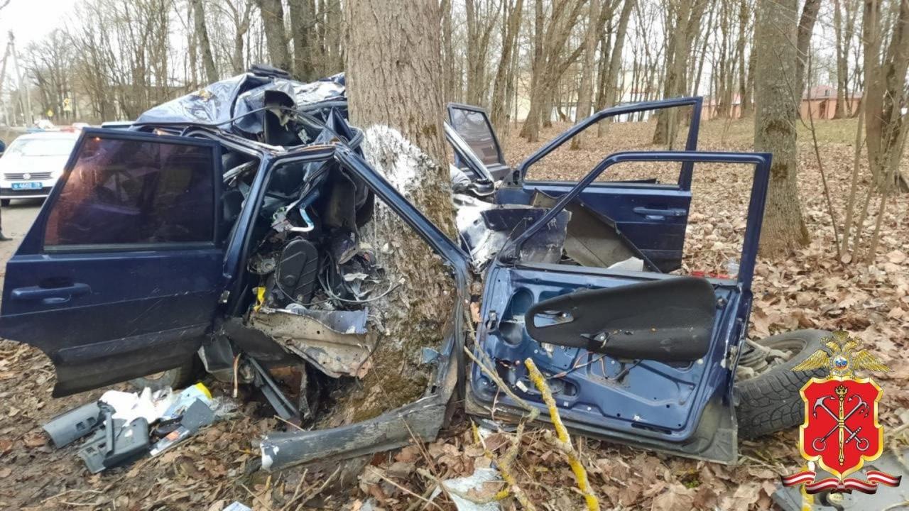 В Гатчине водитель погиб после столкновения с деревом
