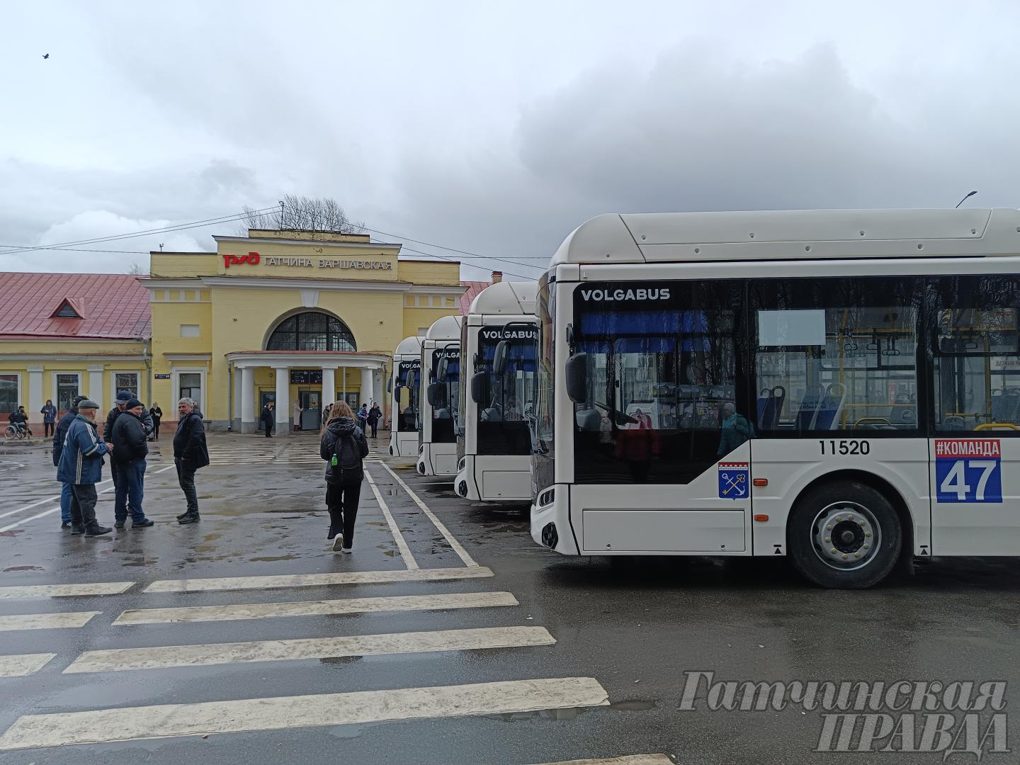 Новые автобусы выходит на маршруты Гатчинского района