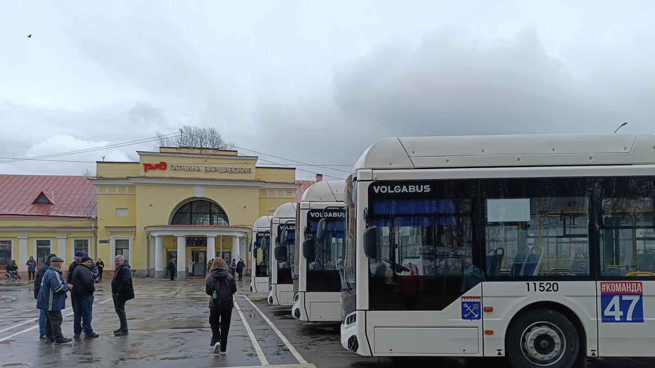 Новые автобусы выходит на маршруты Гатчинского района