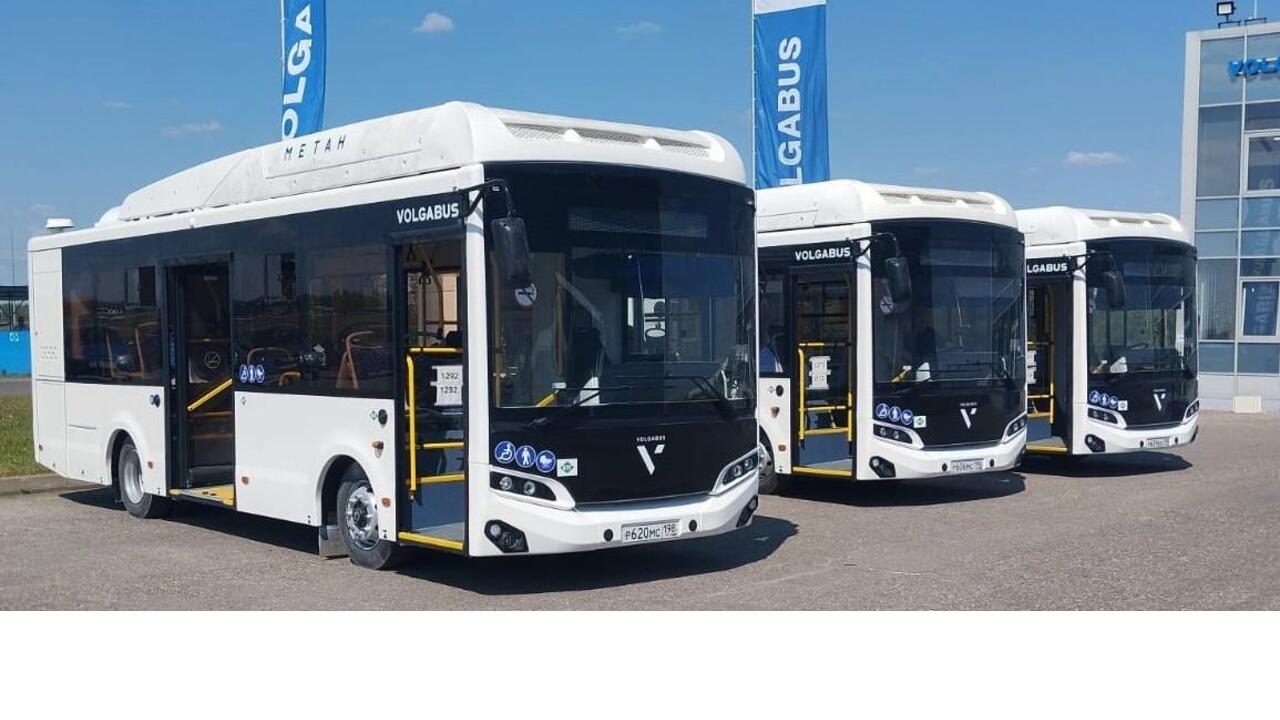Новые автобусы едут в Гатчину