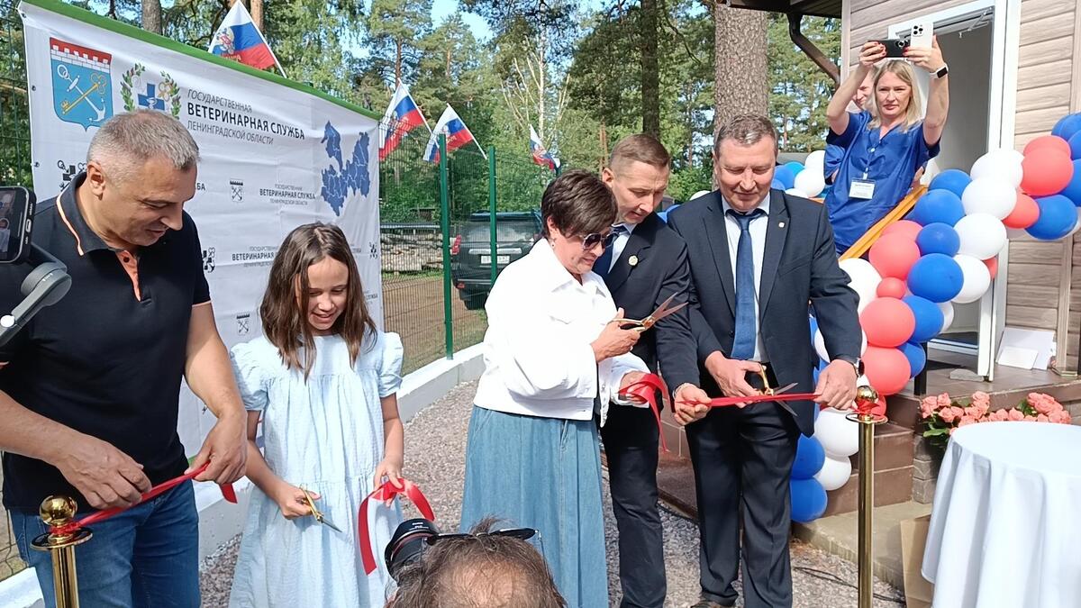 Приходи ко мне лечиться и корова, и волчица - Гатчинская правда