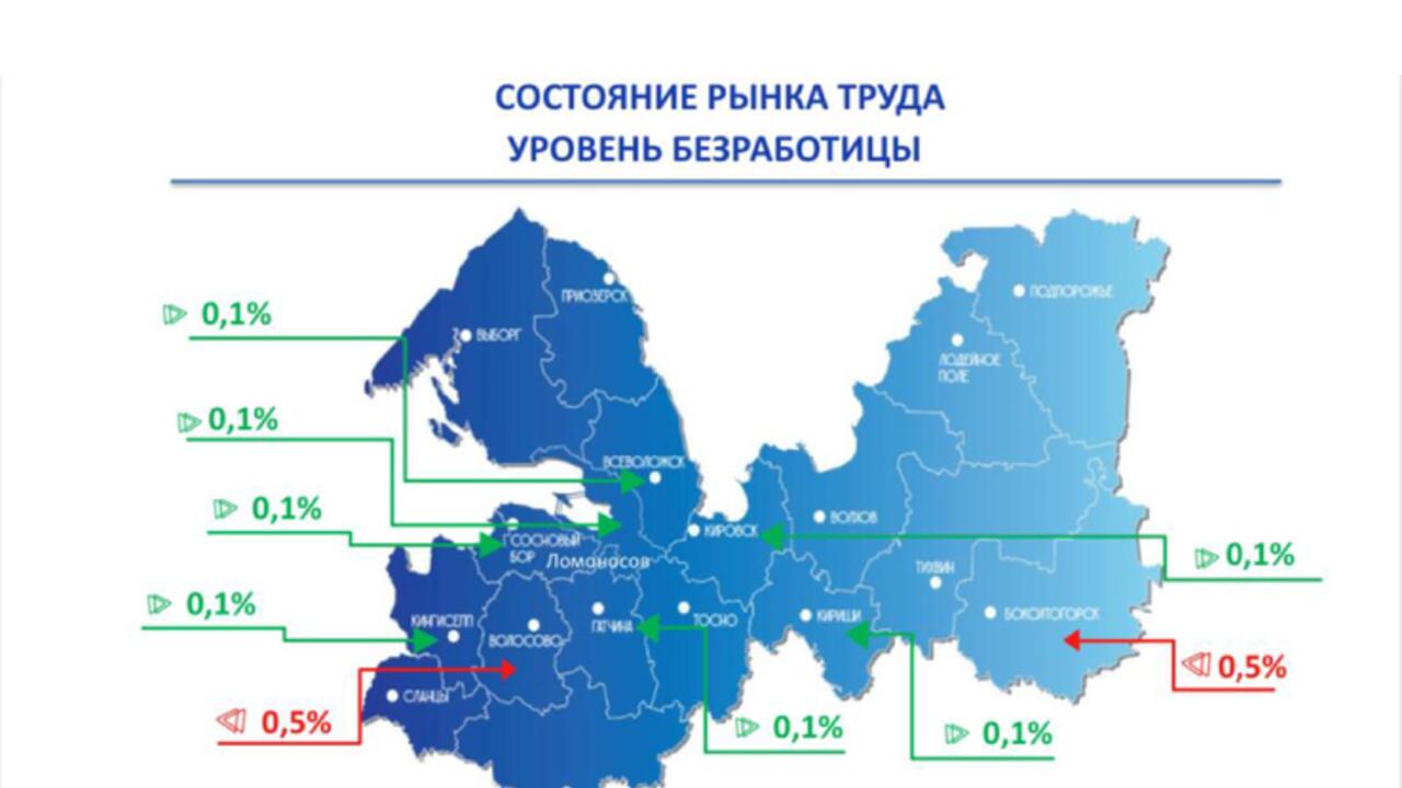 Экономика Ленобласти растет 12 месяцев подряд