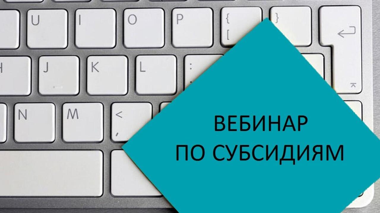 Приём заявок на дополнительные субсидии для бизнеса начнётся в конце октября