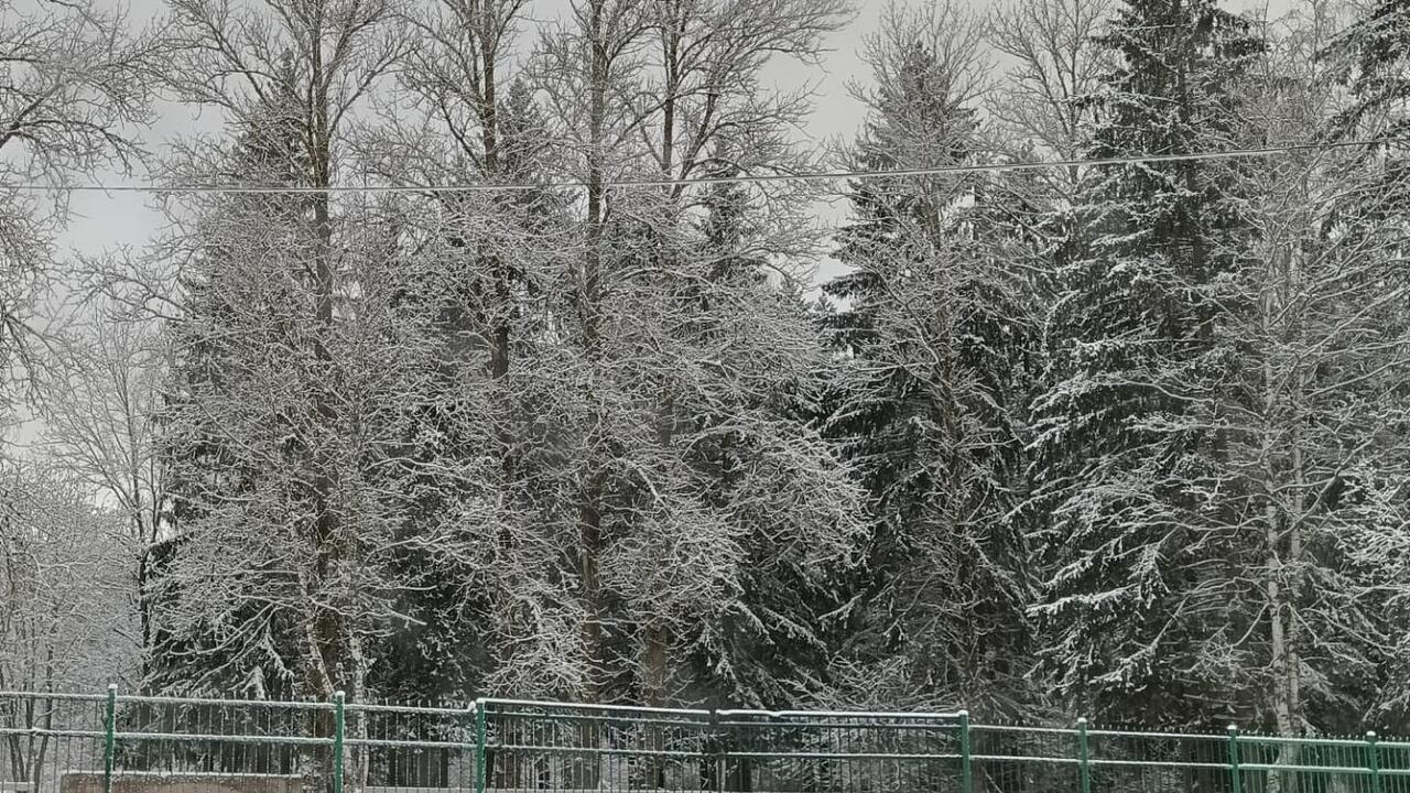 Гатчинскому парку нужны парковки