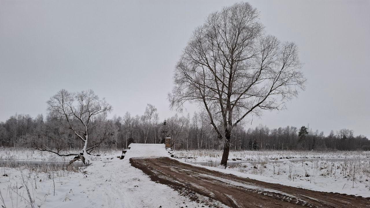 Почему засыпали песком дорожки в парке Зверинец?