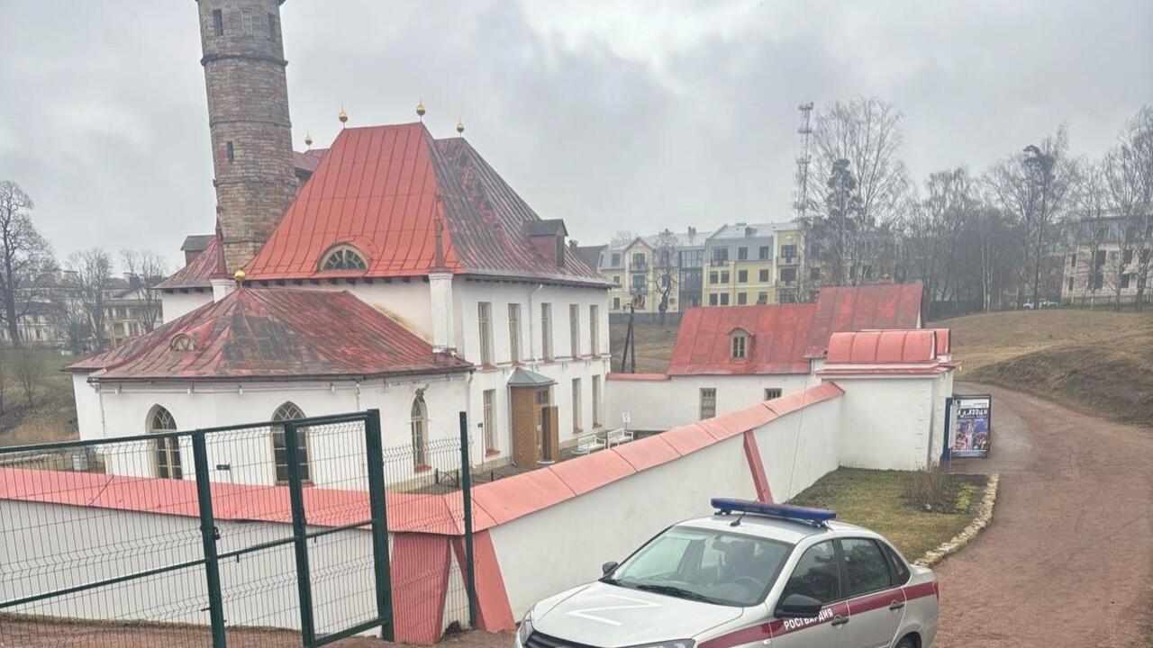 В Приоратском парке нашли гранату