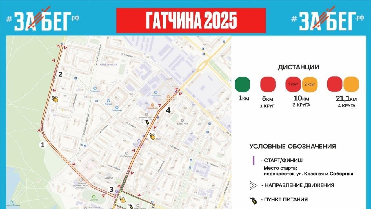 «Забег.РФ»: 24 мая Гатчина станет пешеходной