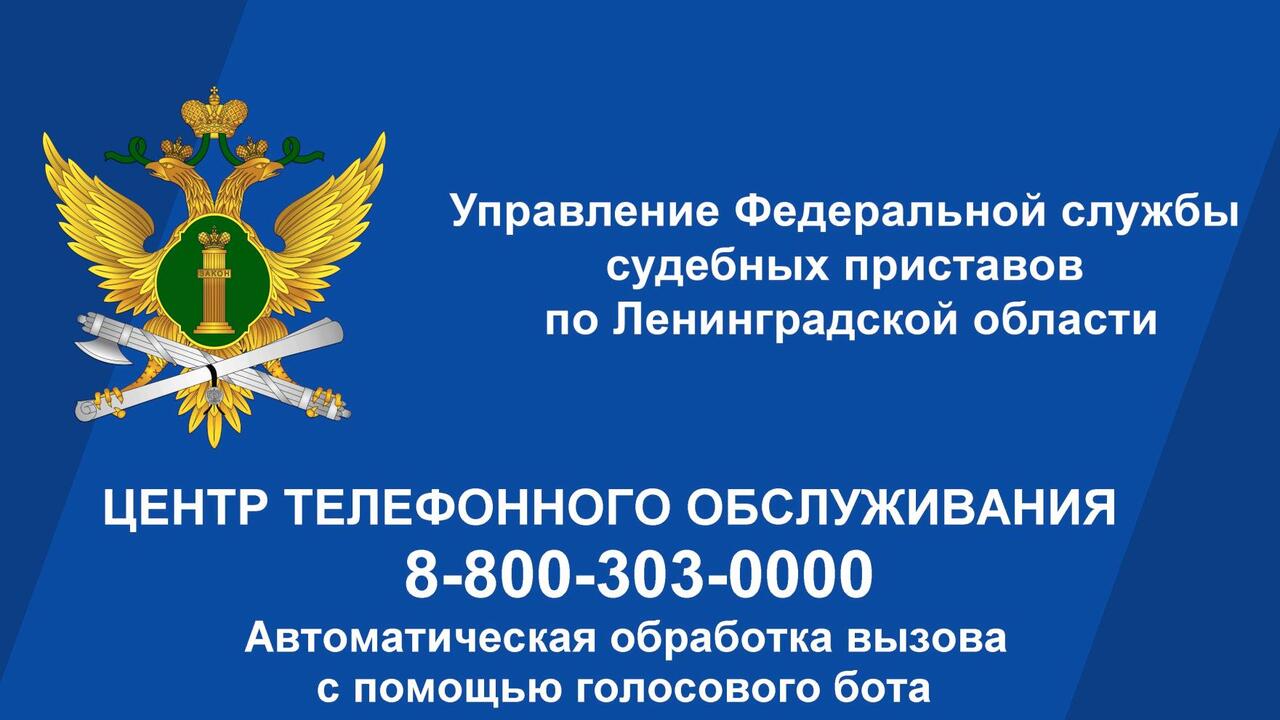 Виртуальный помощник «Полина» помогает жителям Ленинградской области узнать о своих долгах