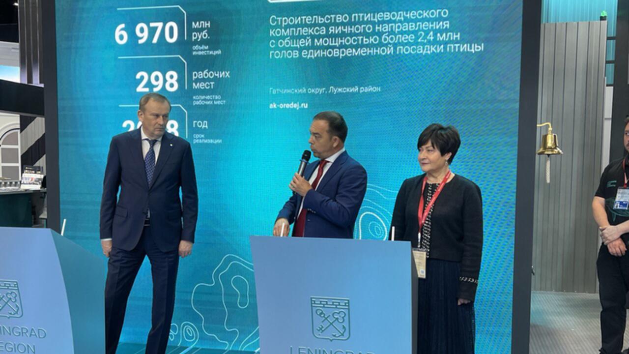 Ленобласть выходит на производство 5 млрд штук яиц в год